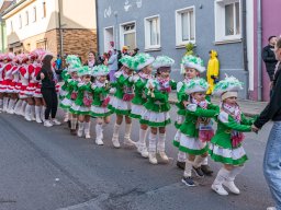 Faschingszug Pressath 2025_59